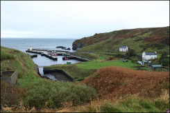 Lybster Harbour view